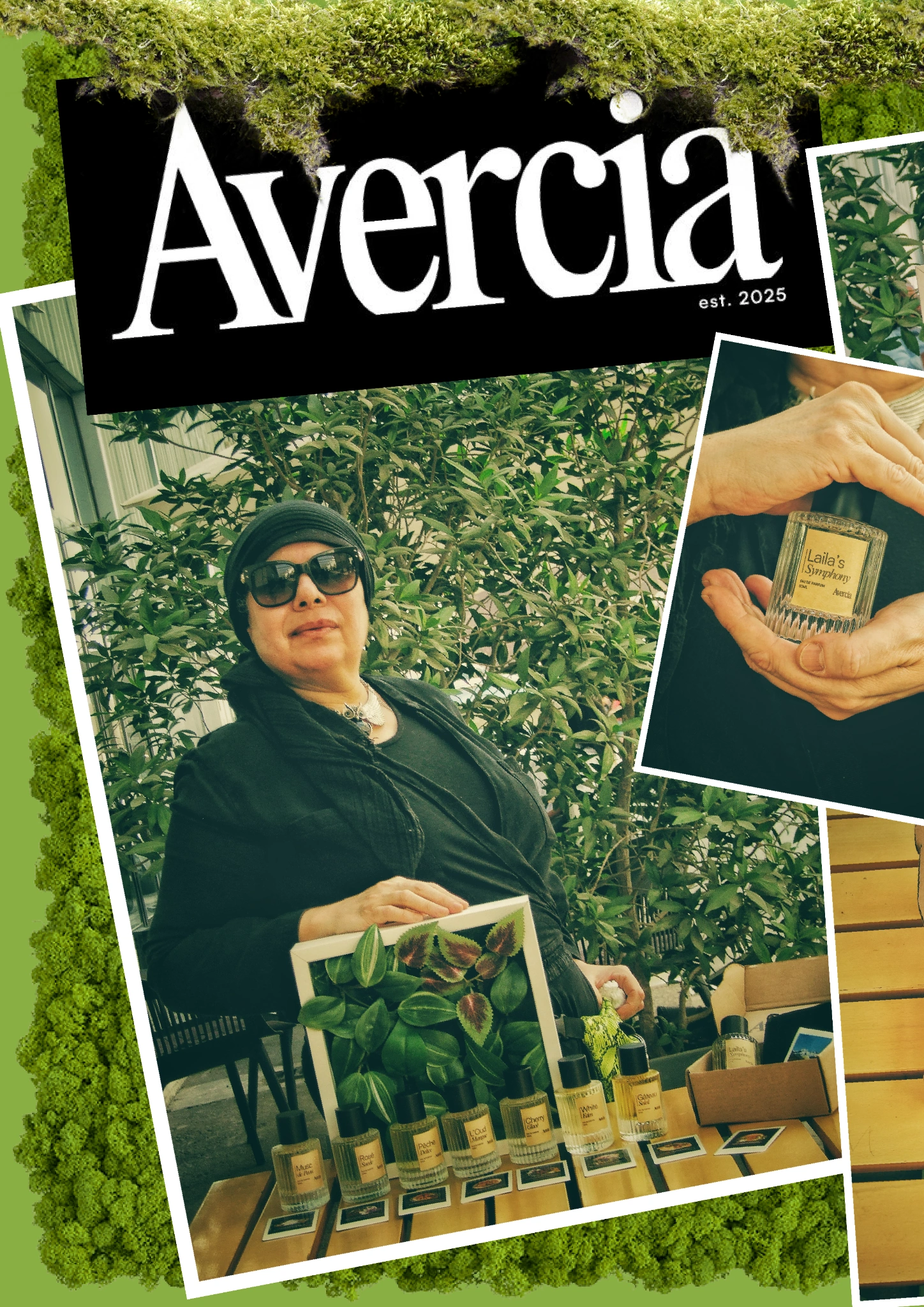 Avercia splash page from Dovish Issue No. 1